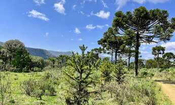 Imagem 2: Chácara em Urubici