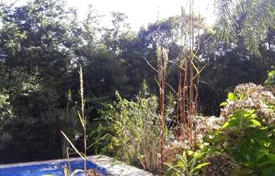 Imagem 4: VENDA - SÍTIO BAIRRO DO TURVO / TAPIRAI/SP