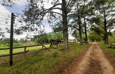Imagem 3: Porto Alegre - Sítio - Campo Novo