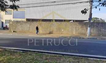 Imagem 5: Galpão - Jardim Campos Elíseos - Campinas