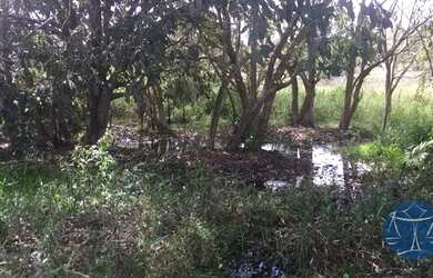 Imagem 3: MONTE ALEGRE - Fazenda - Arena