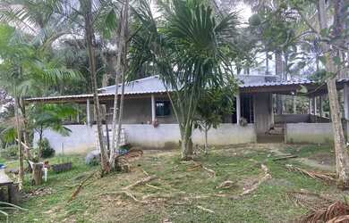 Imagem 3: Sítio Chácara com venda por R$300.000