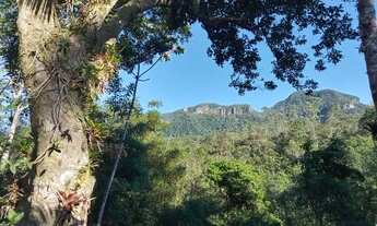 Imagem 5: Sítio à Venda - Cirenáica- Treviso/SC