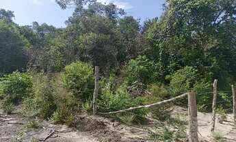 Imagem 6: 04 áreas em Santarém na Estrada de Carapanari para Venda, Santarém, Estado do Pará com 44