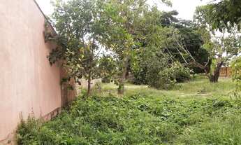 Imagem 7: Vendo lote no bairro Alvorada, medindo 20 X 50