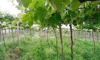 Imagem 6: Oportunidade de negócio