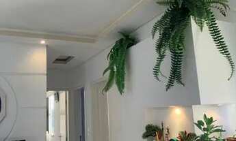 Imagem 5: VITORIA REGIA M.C