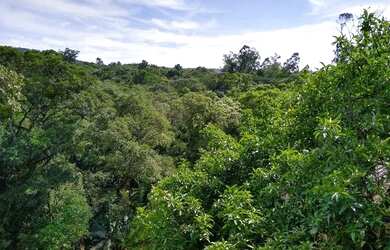 Imagem 6: Sobrado à venda, 150 m² por R$ 400.000,00 - Vila Nova - Porto Alegre/RS