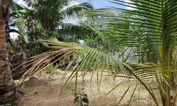 Imagem 5: Vendo lindo sítio em Muribeca