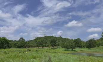 Imagem 7: Fazenda em Vargem Grande-Ma