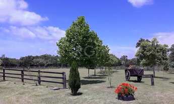 Imagem: Sítio para Venda - 40685m², 0 dormitórios