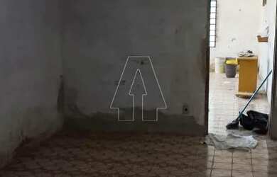 Imagem 3: Araçatuba - Casa - Paraíso