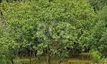 Imagem 4: Terreno para Venda - 0m², 0 dormitórios, Vila Nova