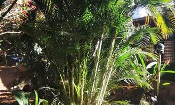 Imagem 3: Chácara 4.800 M²...15 min Major Prates...Permuta por casa ou apto.