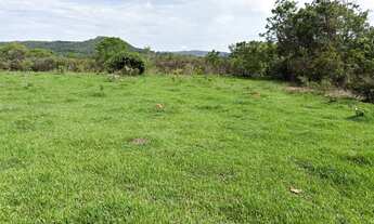 Imagem 6: Vendo Chácara Chácara com venda por R$560.000