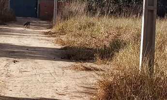 Imagem 5: Lote Planaltina DF Arapoangas