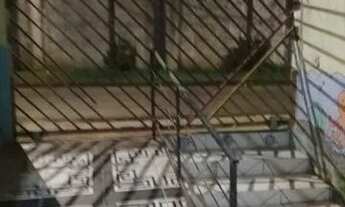 Imagem 3: CASA 02 PAVIMENTOS