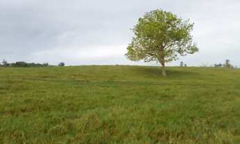 Imagem: FAZENDA - 6.000m² - NOVA COLINA-RR - Vr