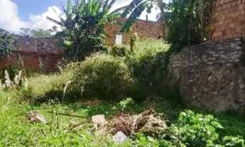 Imagem: Terreno murado no Sta.Lucia