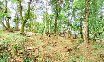 Imagem 7: Lotes à partir de 251m2 boa topografia Escritura e Iptu Parque America Rio Grande da Serra