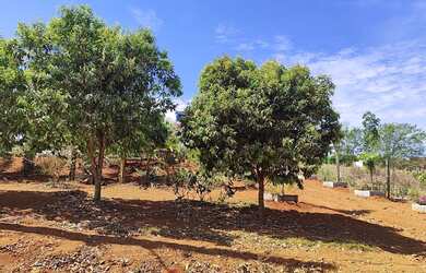 Imagem: Ágio chácara