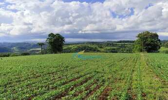 Imagem 2: Sítio à venda, 9 alqueires por R$ 1.400.000 - Linha Santana - Catanduvas/PR