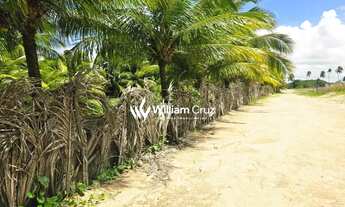 Imagem 7: 2.000m a beira mar de Japaratinga, grande oportunidade