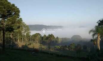 Imagem 3: Lindo sítio à venda em Canela, na encantadora Serra Gaúcha