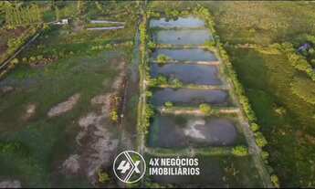 Imagem 6: Propriedade com 80 tarefas de frente para o rio em Santana do São Francisco