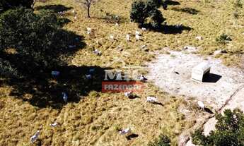 Imagem 5: Fazenda 86 Alqueires (416 Hectares) Mairipotaba - GO