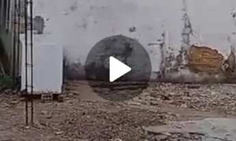 Imagem 2: Casa e quintal no fundo