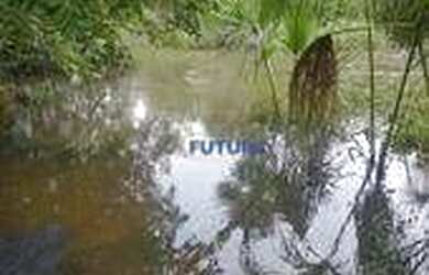 Imagem 3: Chácara com 37 Hectares em Mambaí