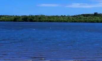 Imagem 2: Pontal do Jaguaripe - Terreno 405m² Nascente Escriturado - Preço de Oportunidade!