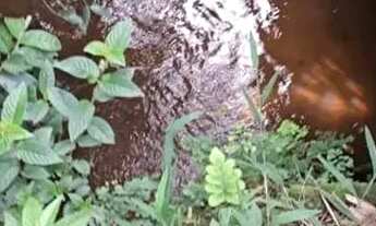 Imagem 5: Sitio em Desterro de Entre Rios MG 9 hectares 90 mil metros Com Agua corrente