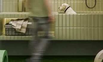 Imagem 4: Apartamento para Venda, Aeroclube, 4 dormitórios, 4 banheiros, 2 vagas