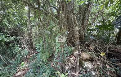 Imagem 2: Terreno à venda no Condomínio Paisagem Renoir II e III