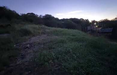 Imagem: Terreno em cosmos