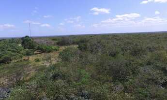 Imagem 6: Excelente Oportunidade de Investimento!