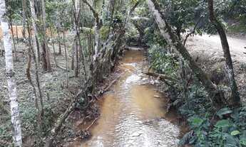 Imagem 2: Área rural próximo a Matilde (chácaras 20.000m com escritura