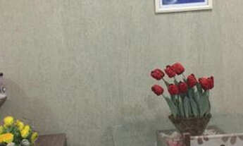 Imagem 4: Apartamento no Bosque