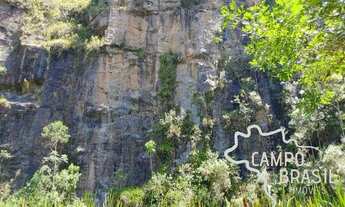 Imagem 4: Lindo sítio formado, com casa boa de 4 dormitórios
