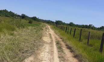 Imagem 4: Vendo Fazenda em Rorainópolis, Roraima