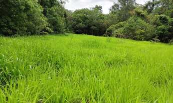 Imagem 2: OPORTUNIDADE. Troco Chácaras de 10.000 de Dez mil metros por imóveis urbanos