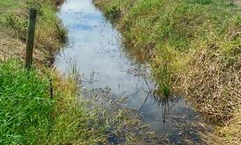Imagem 13: Venda Ou Permuta Fazenda 112 Alqueires ( 272 Hectares ) Na Região de Araraquara -SP