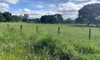 Imagem 2: Chácaras Bonanza - 10.000 mts