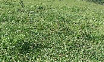 Imagem 4: Sítio Estância Hidromineral de Amparo/SP/BR (Hel. Fon.