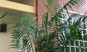 Imagem 2: Casa para venda possui 200 metros quadrados com 4 quartos na praia do pecado