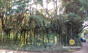 Imagem 5: Terreno à venda em Mairiporã com 3.000 m²