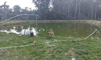 Imagem: Sítio na Estrada da Balbina, 100.000m²