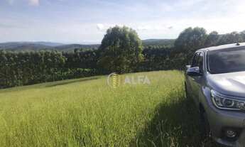 Imagem 4: Fazenda à venda, 2420000 m² por R$ 8.000.000,00 - Zona Rural - Cruzília/MG